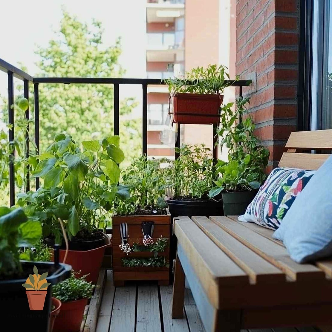Balcony Herb and Vegetable Garden