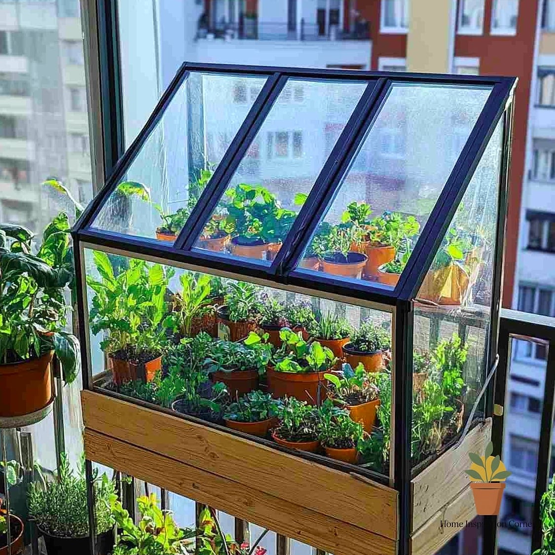 A Mini Greenhouse Cabinet