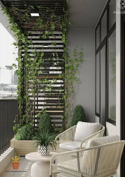 Vertical Trellis with Climbing Vines