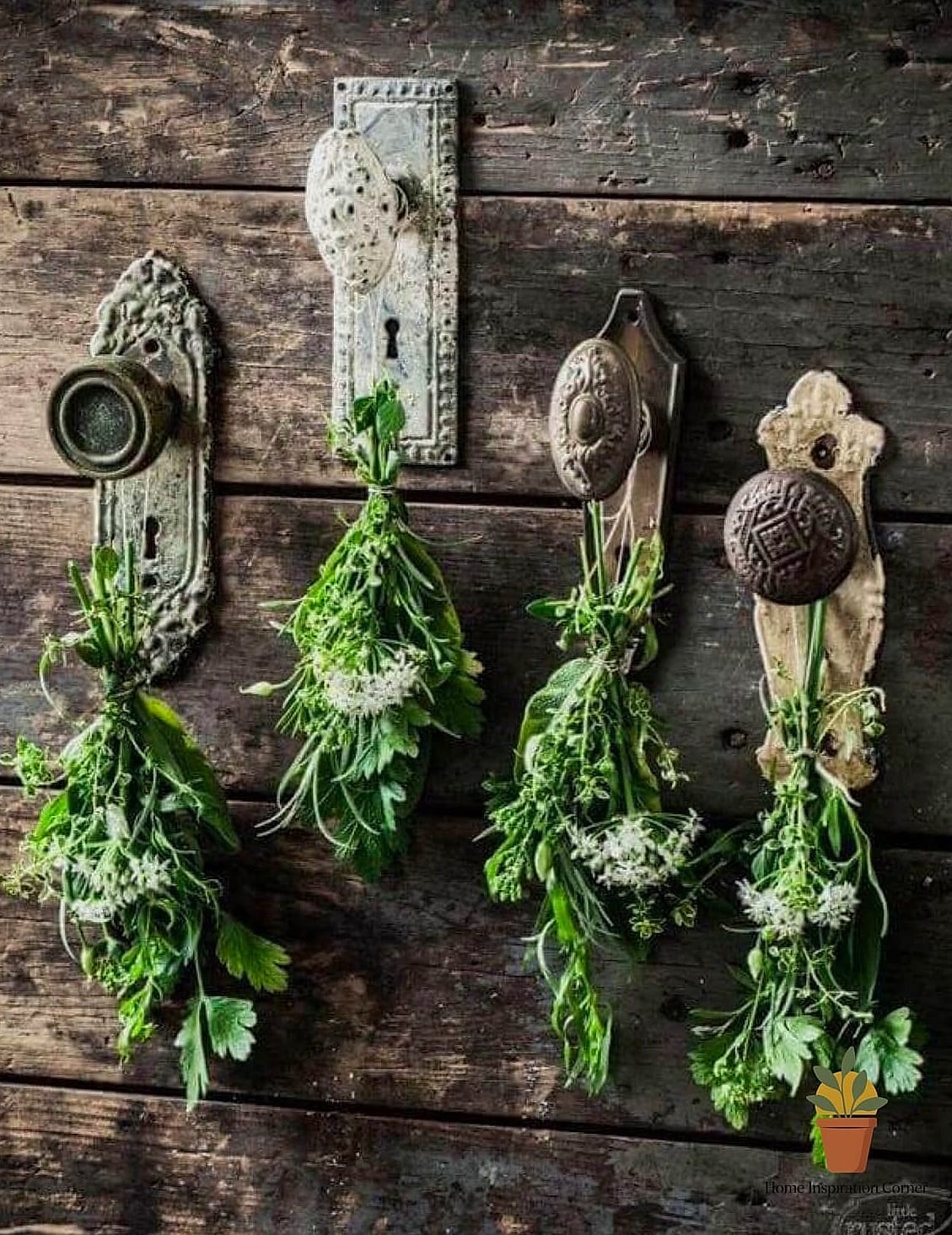 Antique Doorknob Garden Hooks