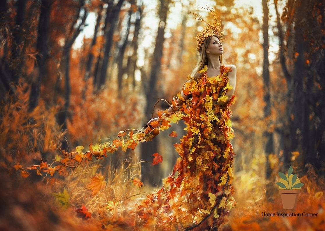 Autumn Forest Path