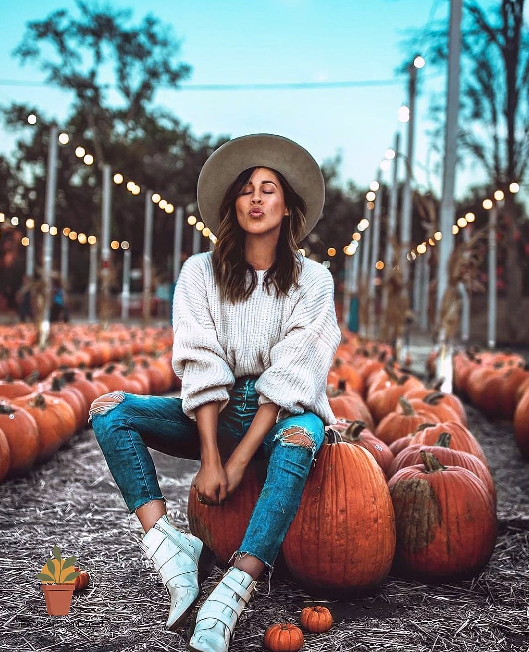 Autumn Pumpkin Patch