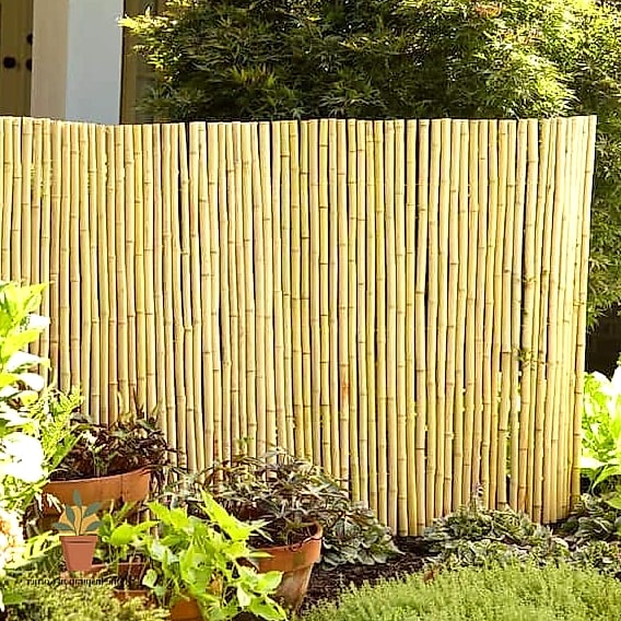 Bamboo Privacy Screening