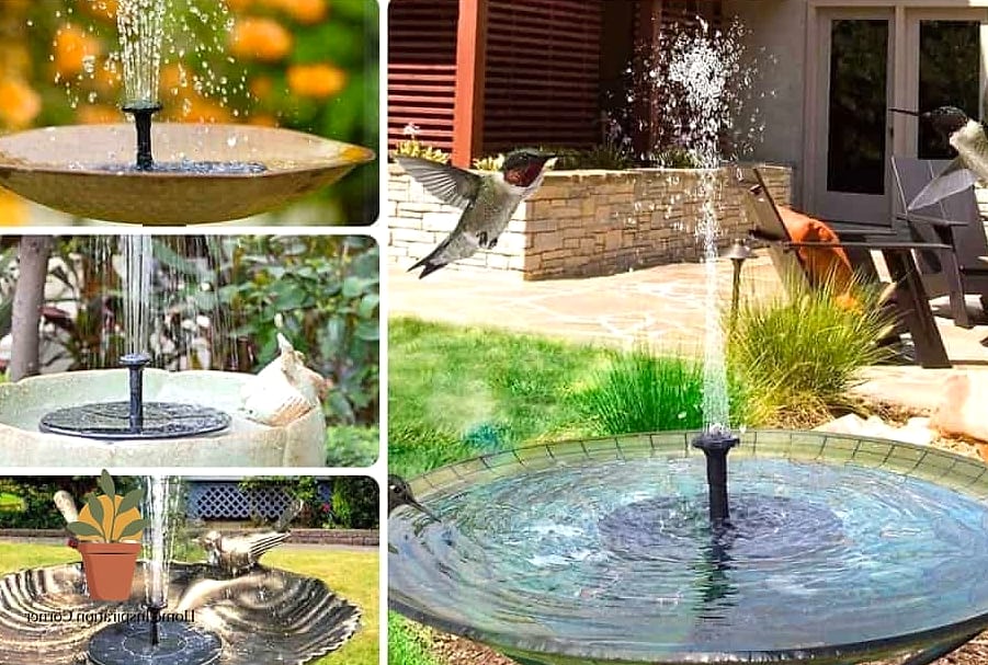 Birdbath Fountains That Double as Wildlife Features