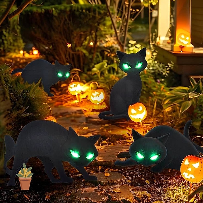 Black Cat Family Display