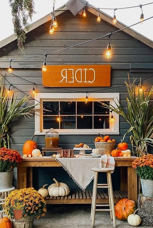 23 Outdoor Fall Decor Ideas Designs That Maximize Style and Function 21 A Cider or Cocoa Bar for Gatherings