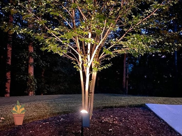 Combine Tree Lighting With Ground-Level Landscape Beds