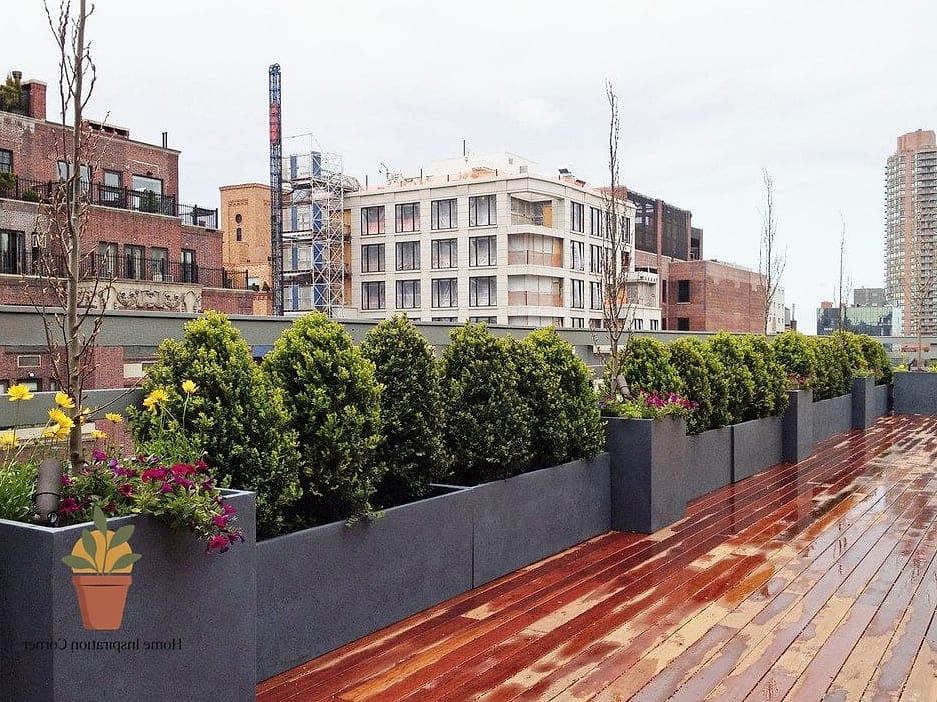 Container Garden with Mixed Planters