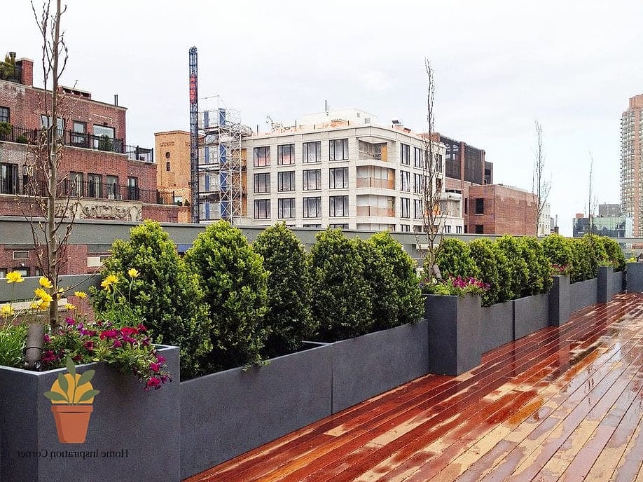 Container Gardens in Every Corner