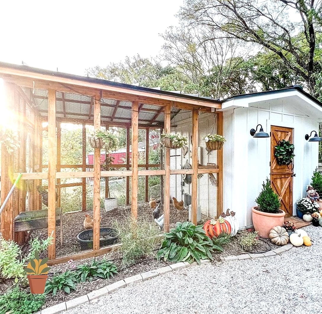 The Coop with Hinged Roof Access