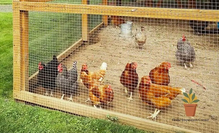 The Coop with a Sand or Gravel Run Floor