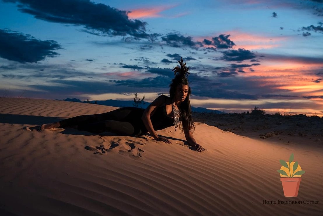 Desert Landscape at Sunset