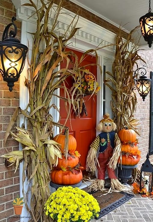 Dried Corn Stalks Bundled at the Entry
