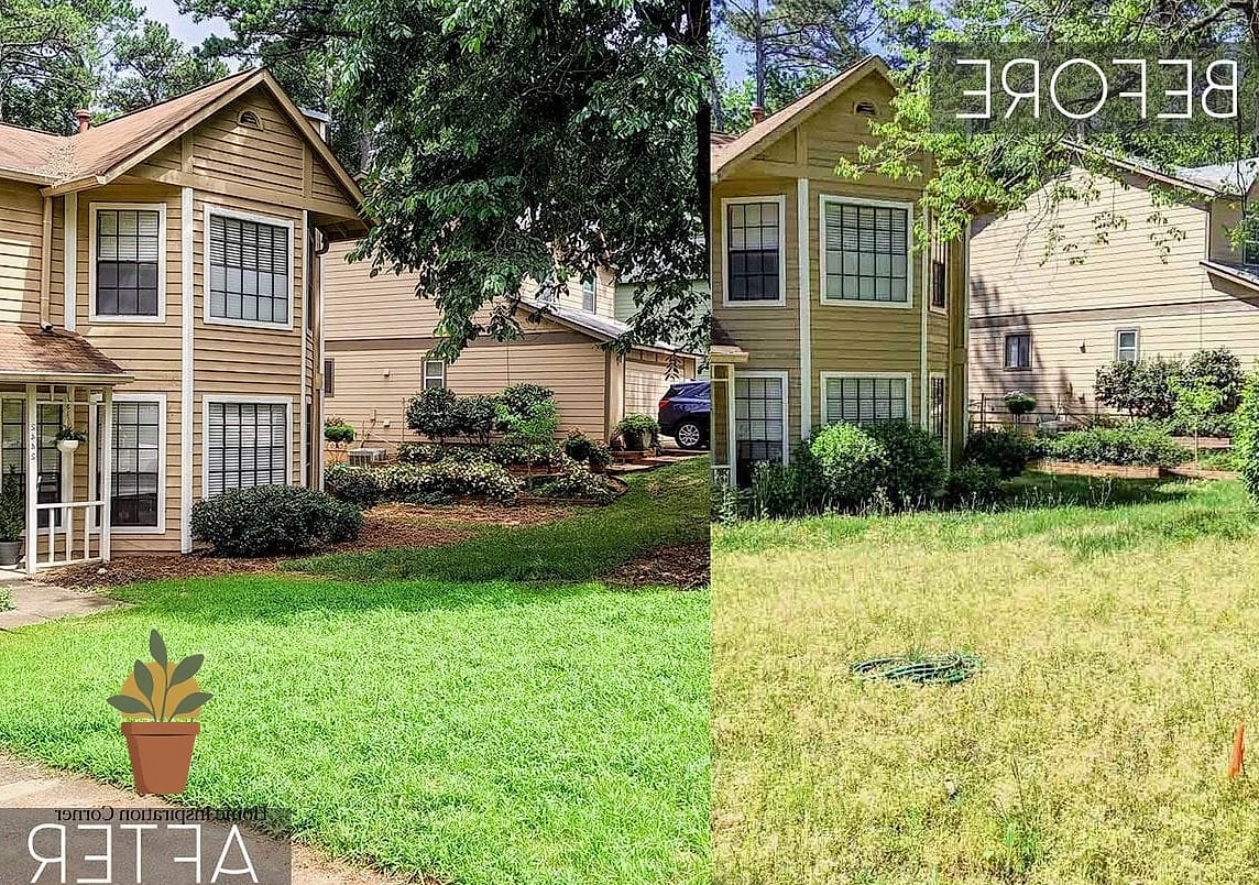 Flat, Empty Lawn Transformed Into a Multi-Level Garden Bed Layout