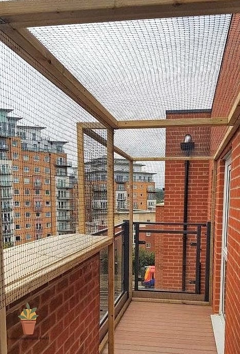 Full Height Chicken Wire with a Wood Frame