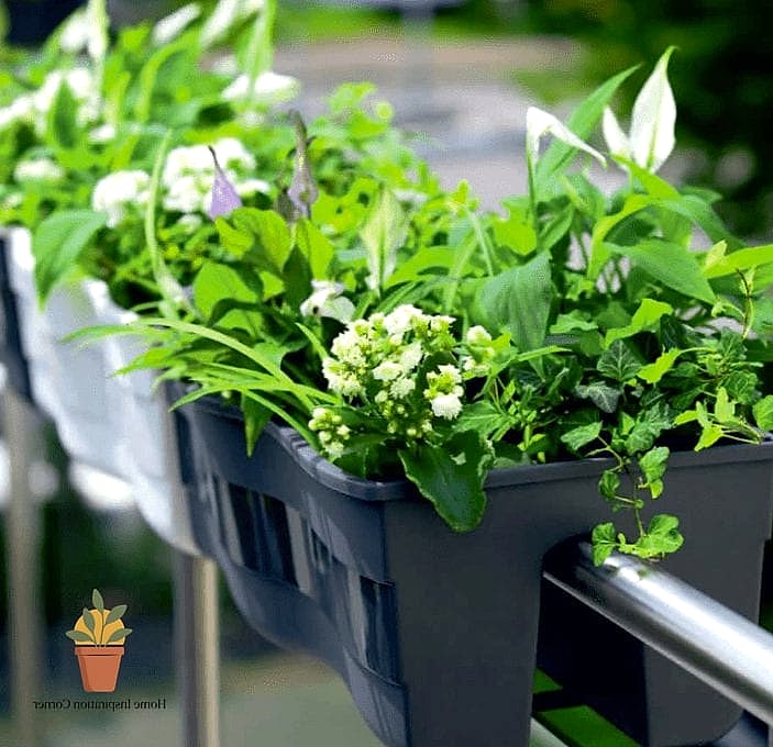 Glass with Planter Box Base