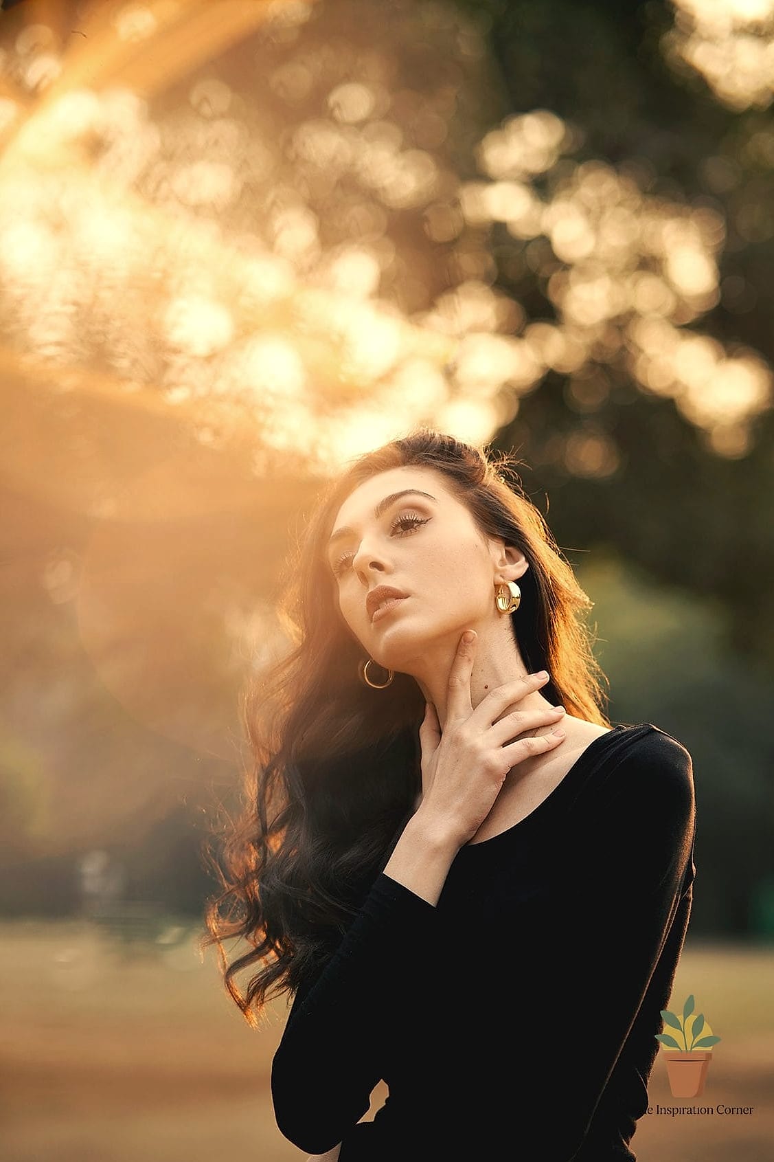 Golden Hour Backlighting