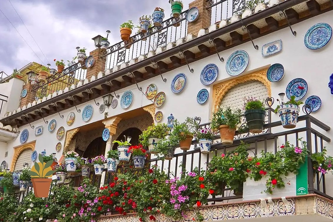 21 Creative Patio Andaluz Ideas You Haven't Seen Before 11 Hand-Painted Tile House Numbers Set Into the Wall