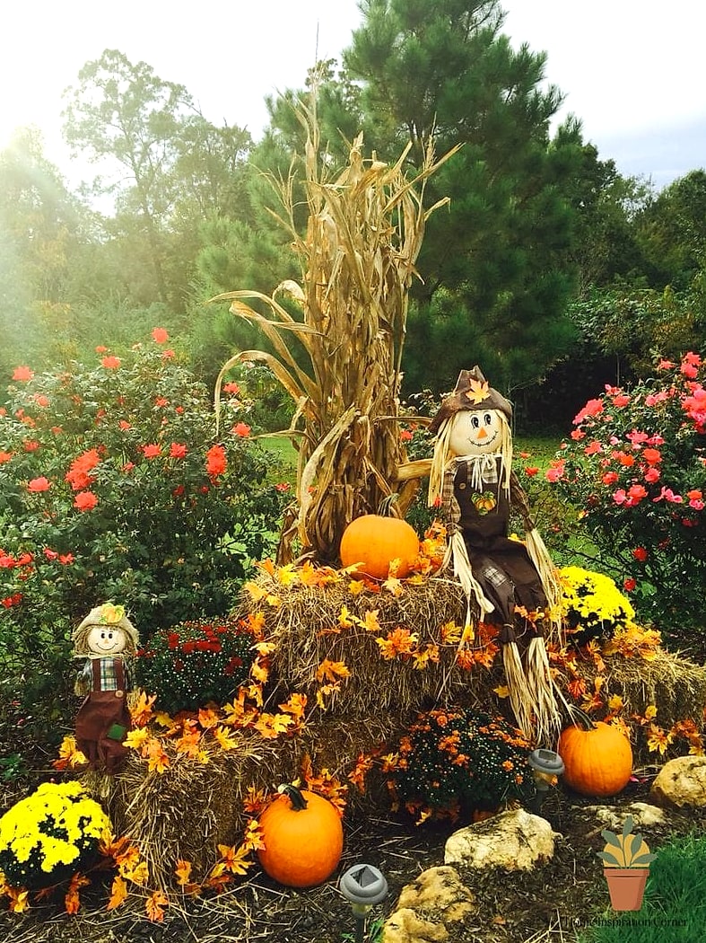 Layered Mums and Gourds Landscape