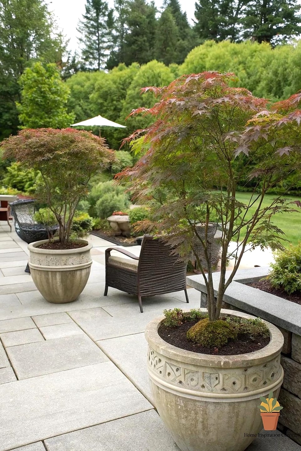 19 Patio Interno Ideas That Are Both Stylish and Practical 3 Layer in Potted Trees for Height