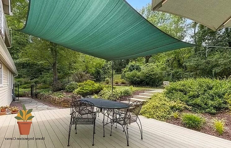 A Living Green Wall or Trellis