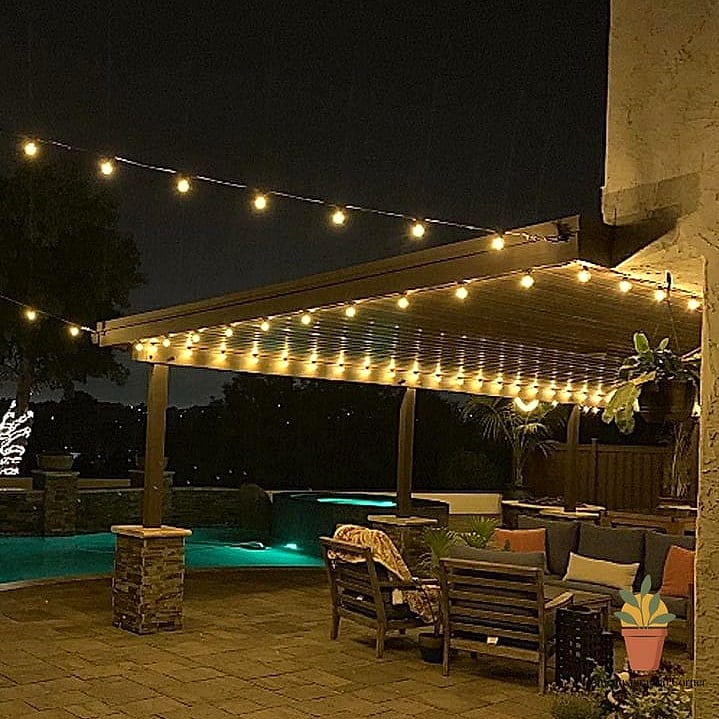 Market-Style Bulb Strands