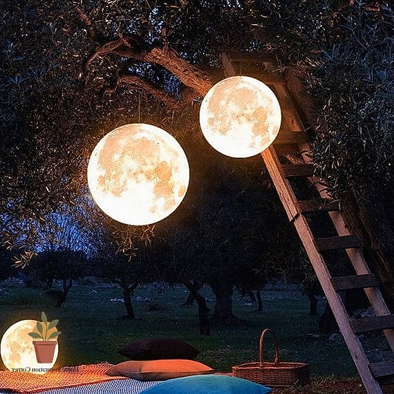 Moon Lighting Through Tree Canopies