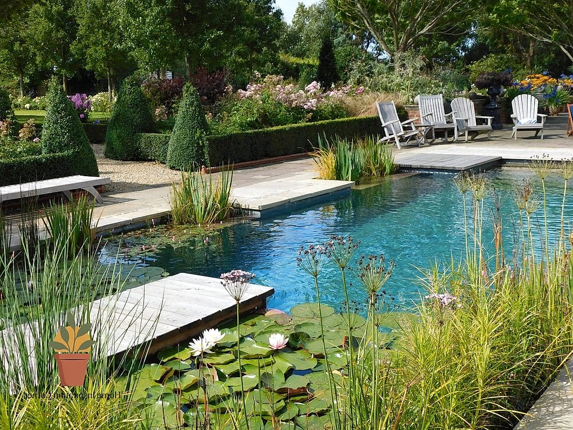 Natural Pond-Style Pool