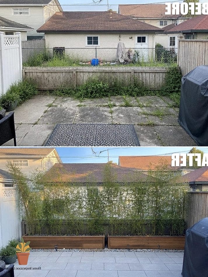 22 Terrace Decoration Before and After Transformations to Inspire 15 Overgrown Planters Refreshed with a Modern Color Scheme