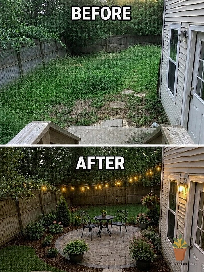 Overgrown Side Yard Reimagined as a Narrow Garden Path