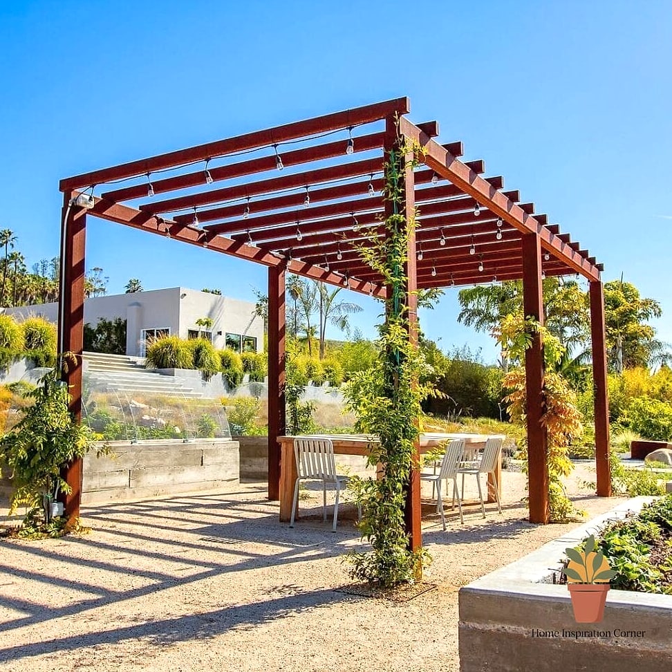 A Pergola With Climbing Vines