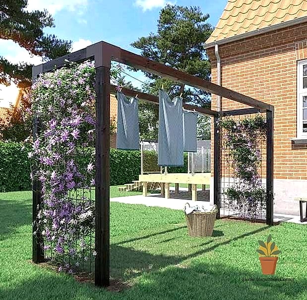 Pergola-Integrated Drying Lines