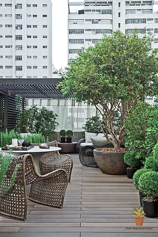 Potted Trees for Instant Height and Privacy