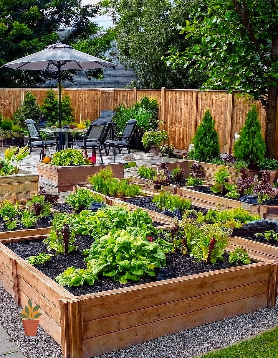 Raised Bed Vegetable Garden Layout