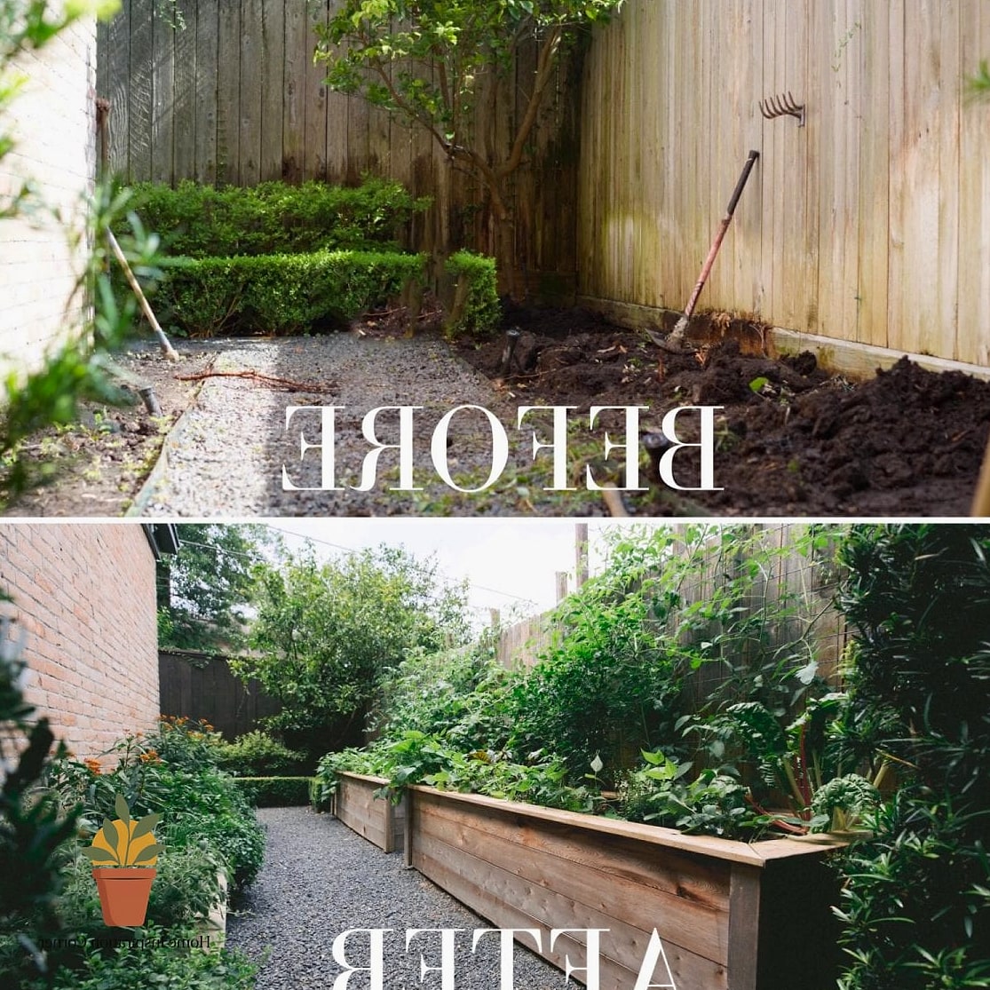 Raised Garden Beds Along the Fence Line