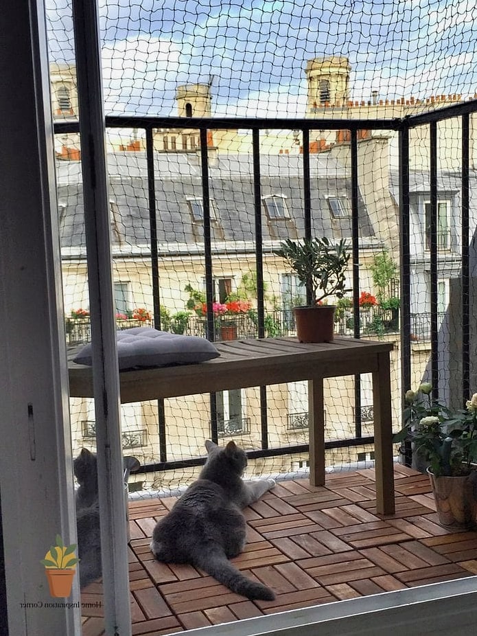 Retractable Pet Gates for Sliding Door Access