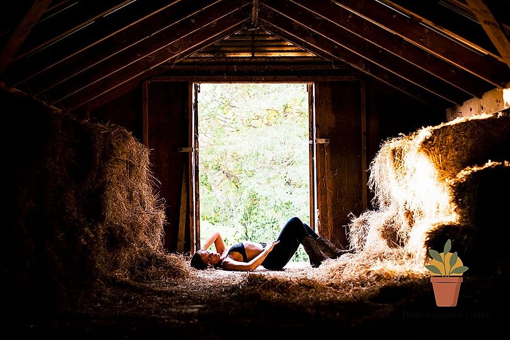 Rustic Barn or Farmhouse Exterior