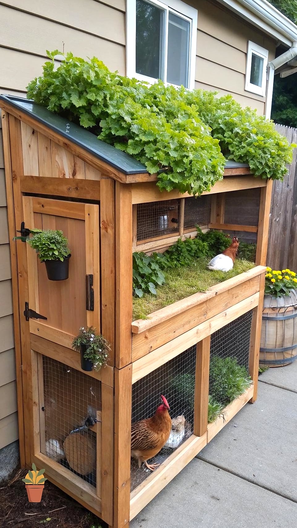 The Small-Space Vertical Coop