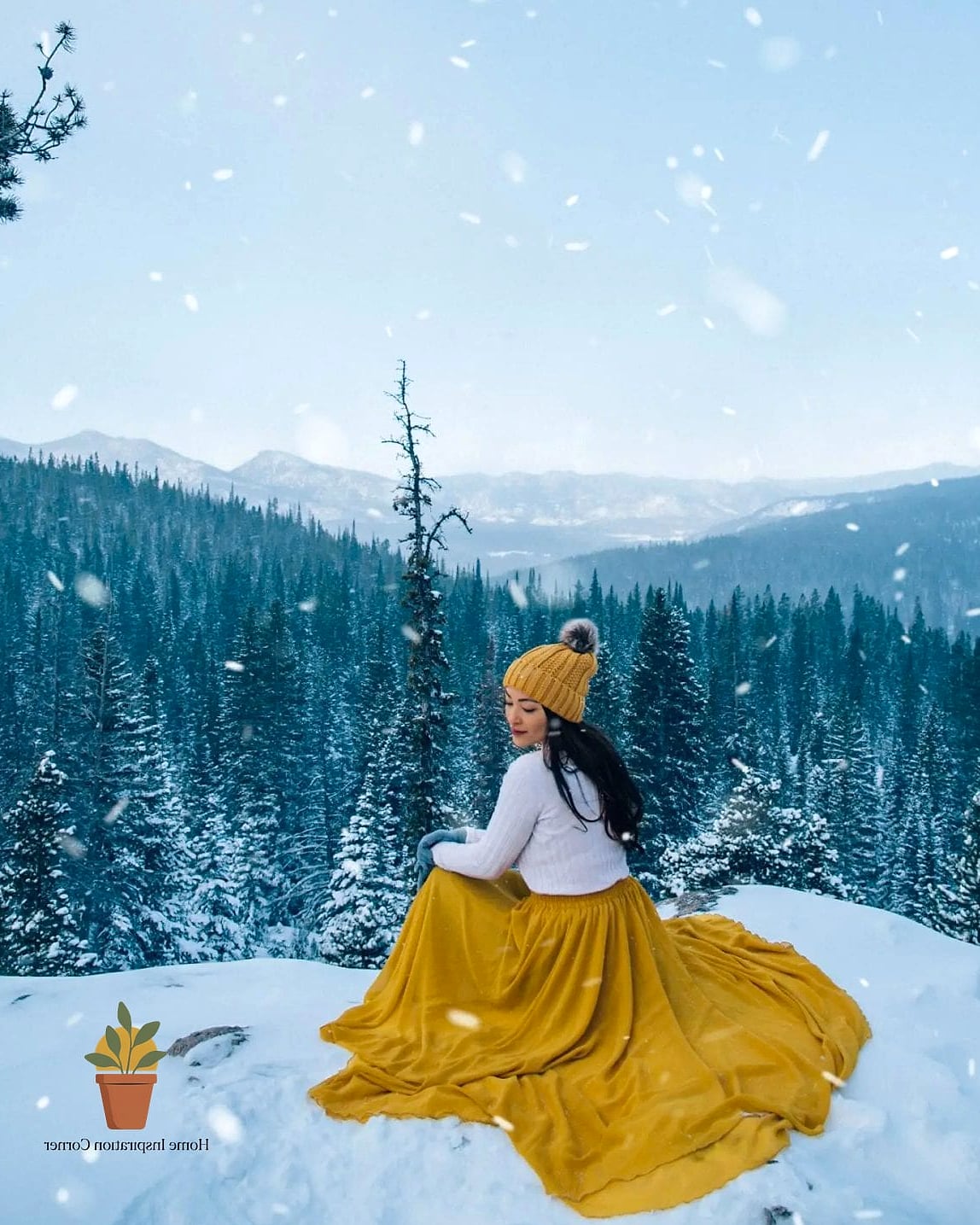 Snowy Landscape in Soft Light