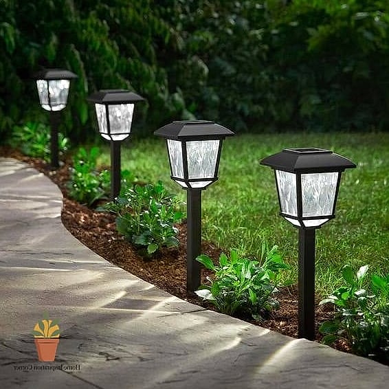 Solar Path Lights Along the Perimeter
