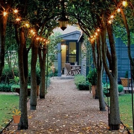 String Lights Draped Over Reclaimed Wood Posts