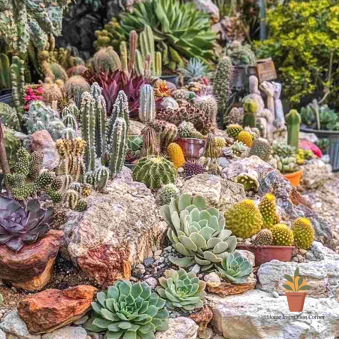 25 Home Terrace Ideas Ideas That Will Transform Your Space 19 Succulent and Cactus Arrangement