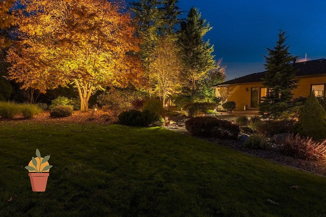 Uplighting on Mature Trees
