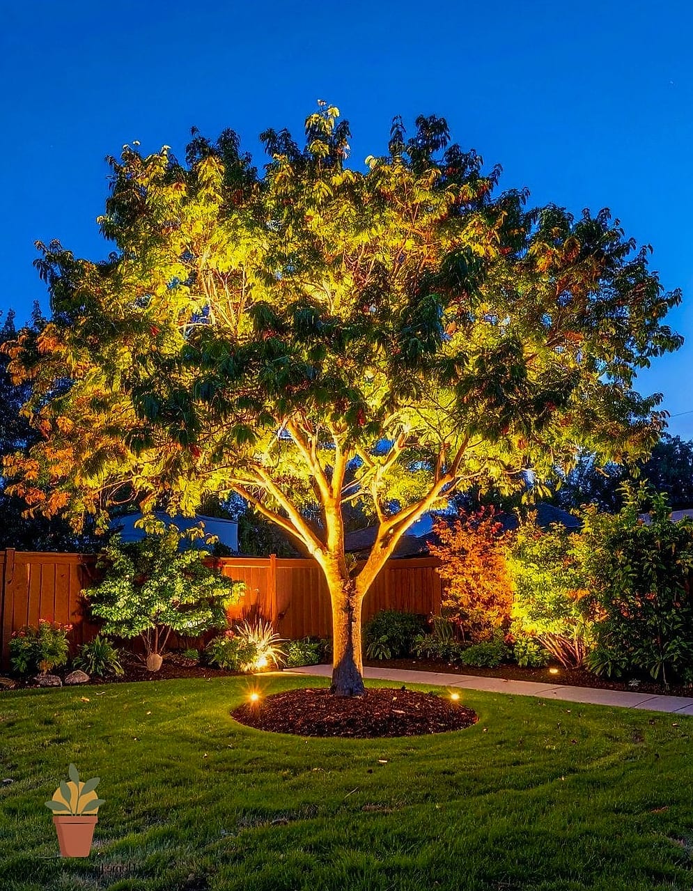 21 Outdoor Lighting Ideas Ideas to Upgrade Your Home This Weekend 5 Uplighting for Trees and Shrubs