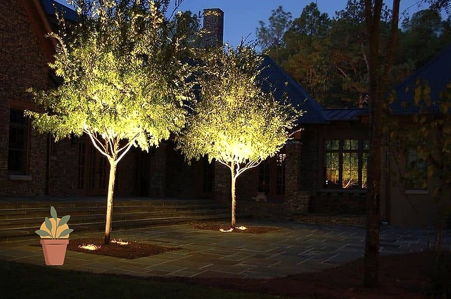 Uplighting on Trees and Architectural Features