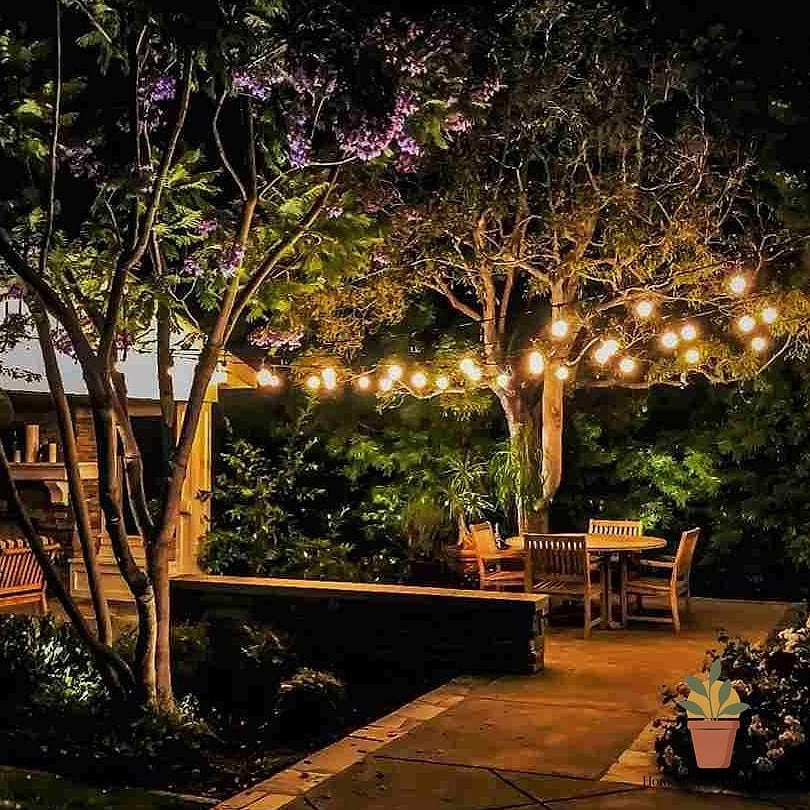 Uplighting on Trees and Shrubs
