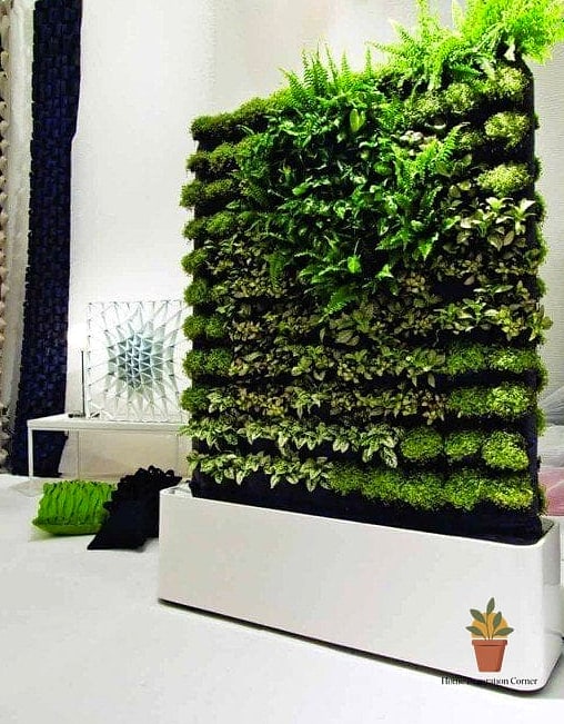 Vertical Gardens on a Fence or Wall