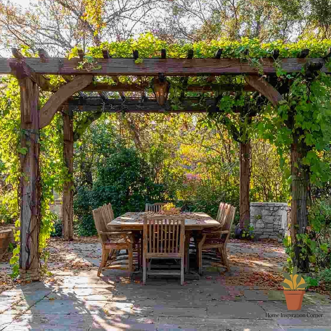 Vine-Covered Pergola