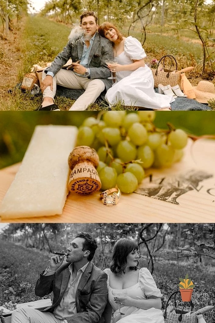 Vineyard or Orchard Rows