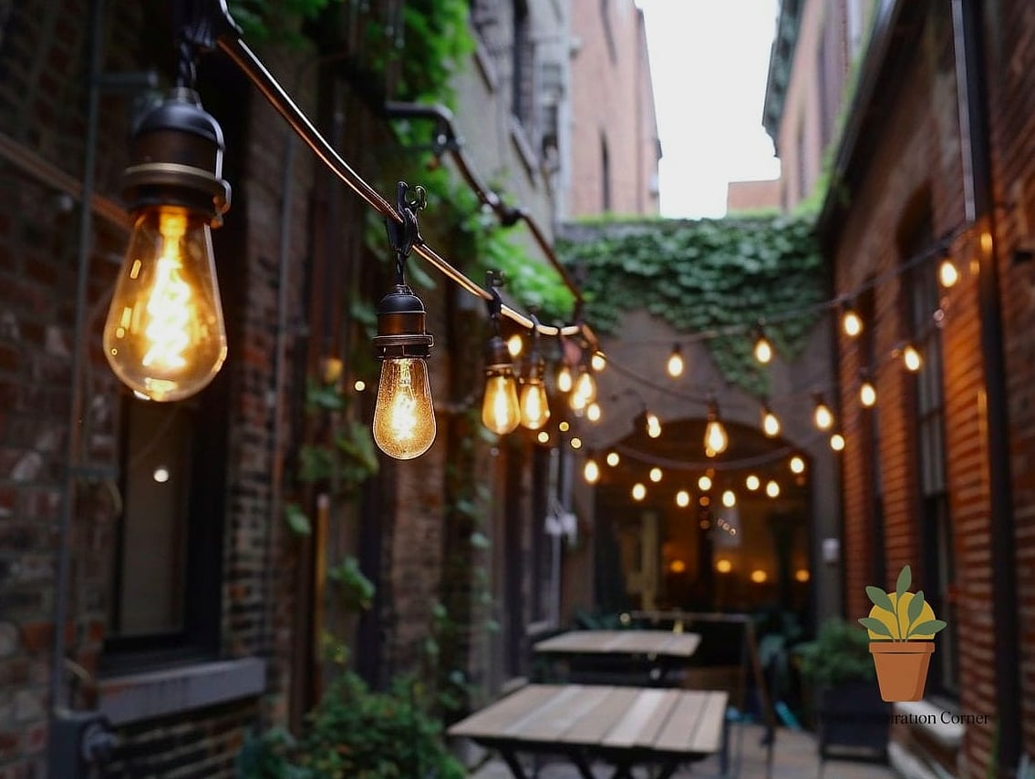 Vintage Edison Bulb Strands
